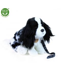 Plyšový pes kavalier s vodítkem 27 cm ECO-FRIENDLY